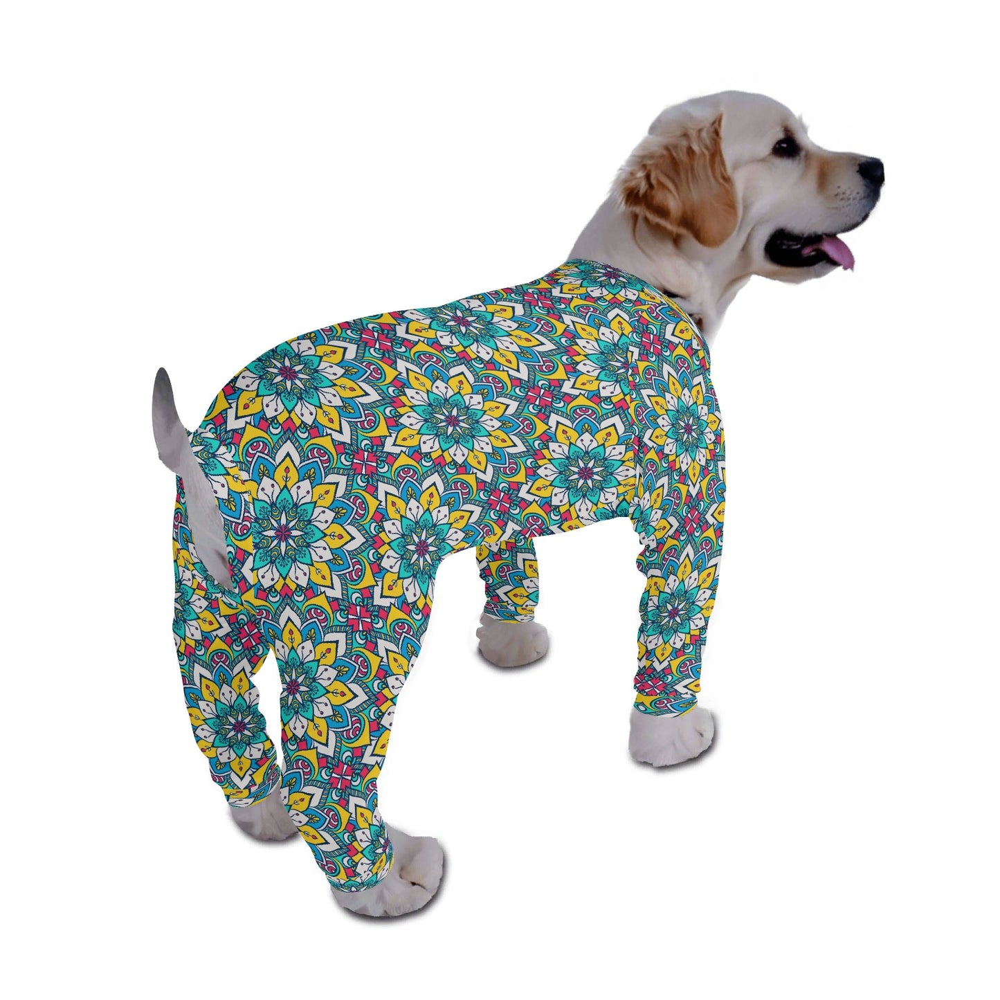 filename-1769144268-1-GouqIbBV6P