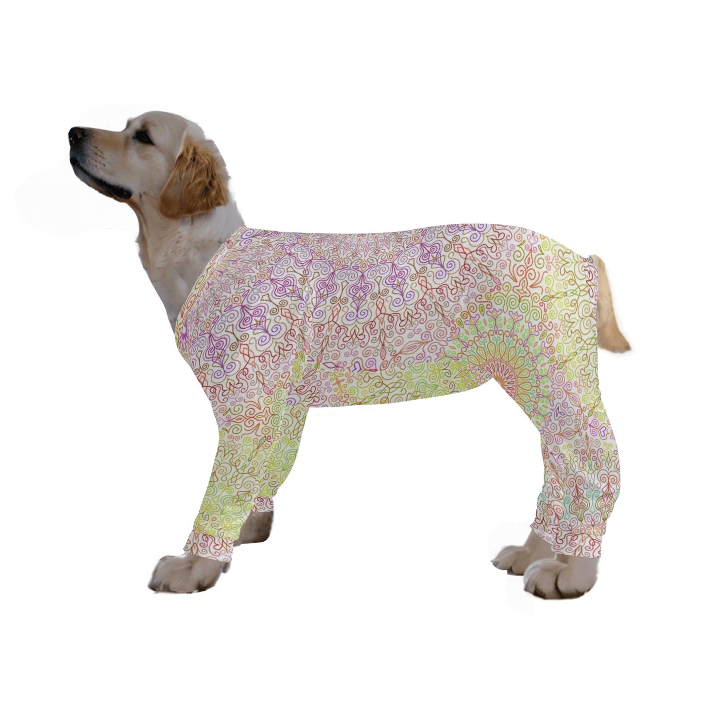 filename-1769144539-2-XSW1JDwuex