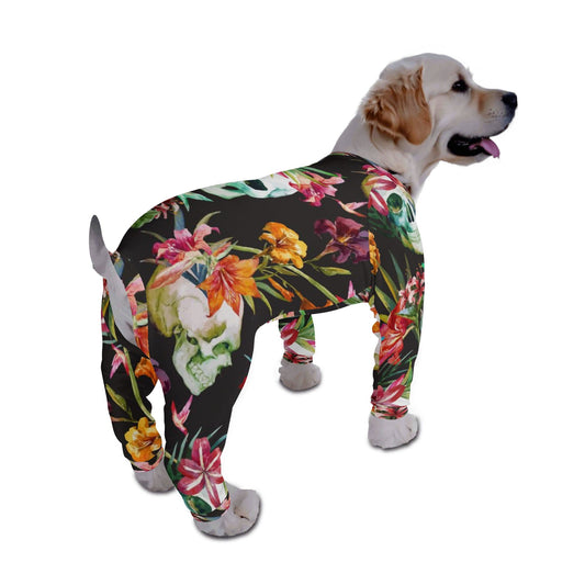 filename-1769144599-1-s7zbBci3ke