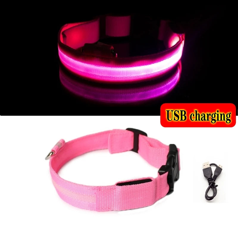 Led Dog Collar USB Charging/Battery