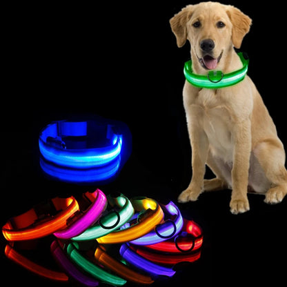 Led Dog Collar USB Charging/Battery