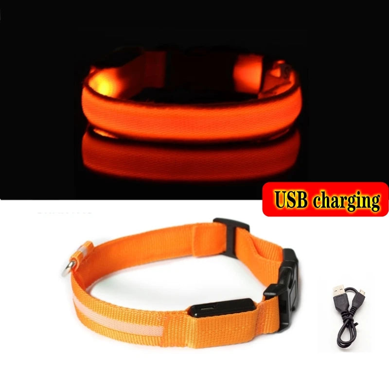 Led Dog Collar USB Charging/Battery