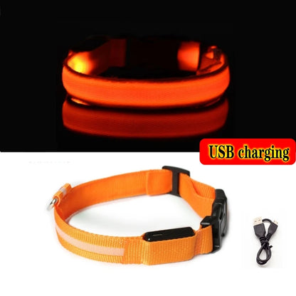 Led Dog Collar USB Charging/Battery