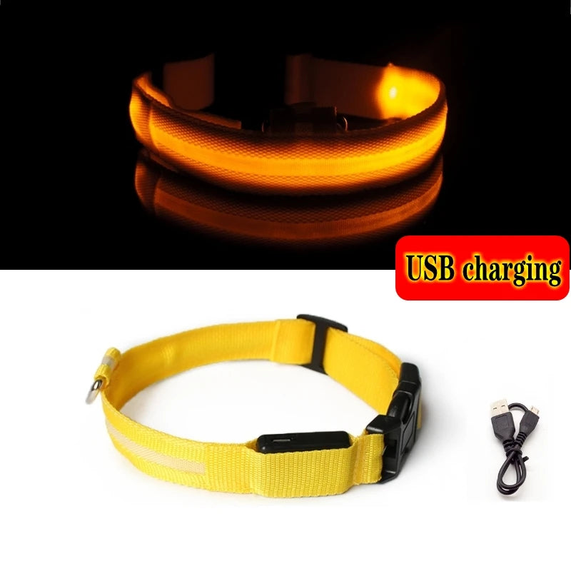 Led Dog Collar USB Charging/Battery