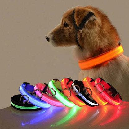 Led Dog Collar USB Charging/Battery