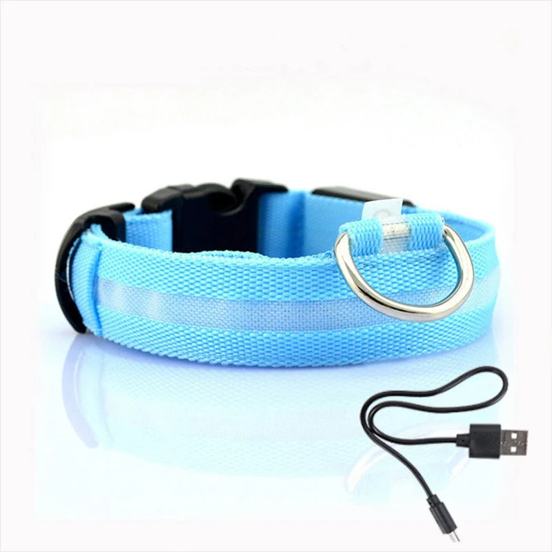 Led Dog Collar USB Charging/Battery