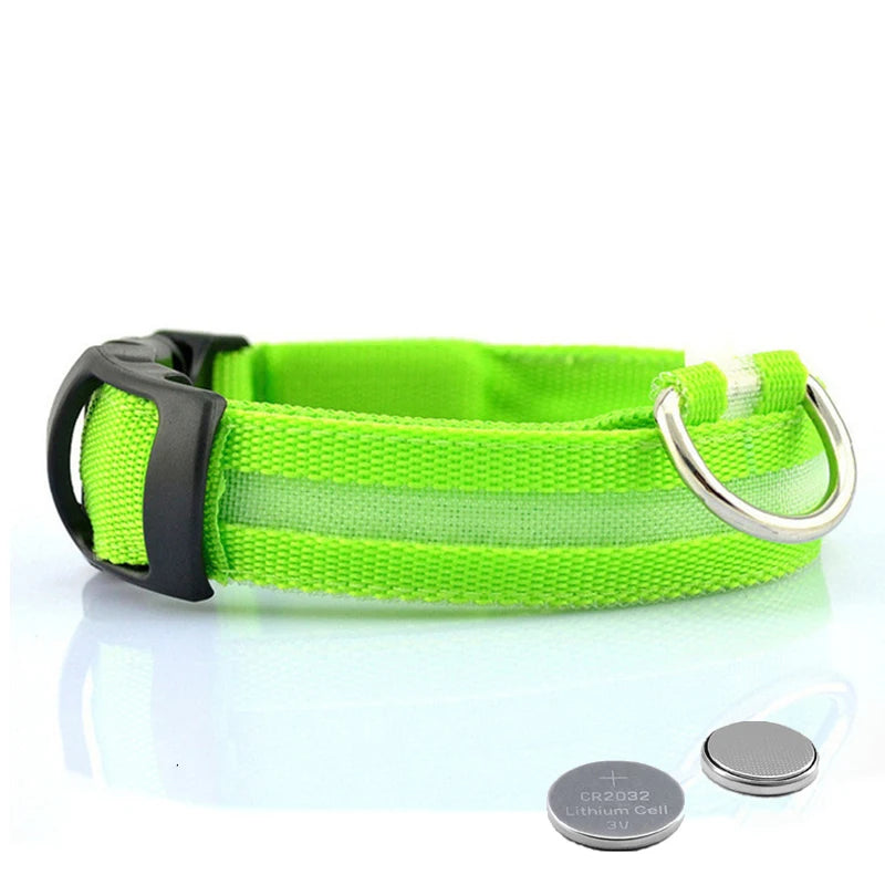 Led Dog Collar USB Charging/Battery