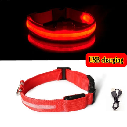 Led Dog Collar USB Charging/Battery