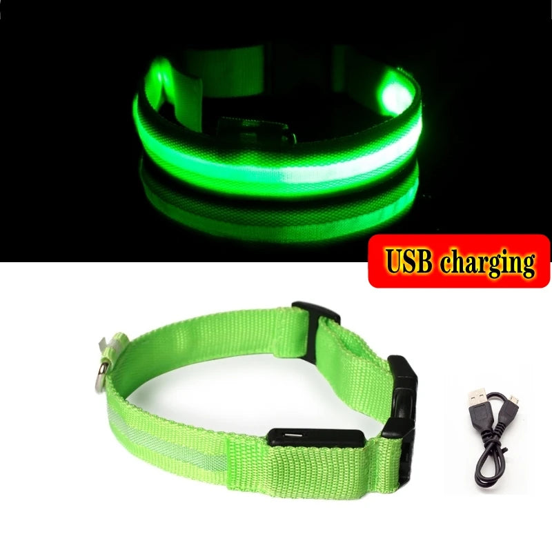 Led Dog Collar USB Charging/Battery