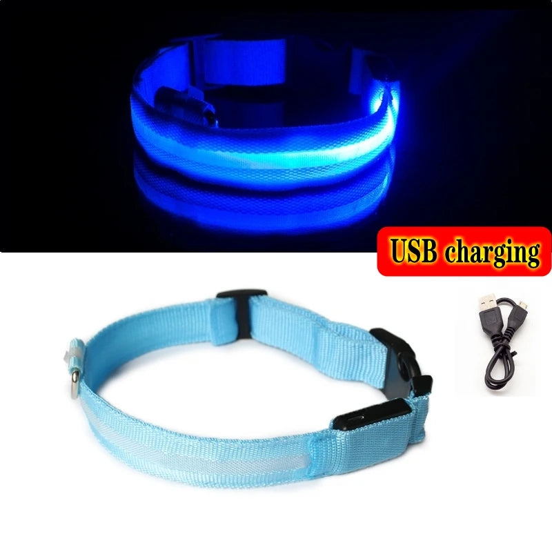 Led Dog Collar USB Charging/Battery