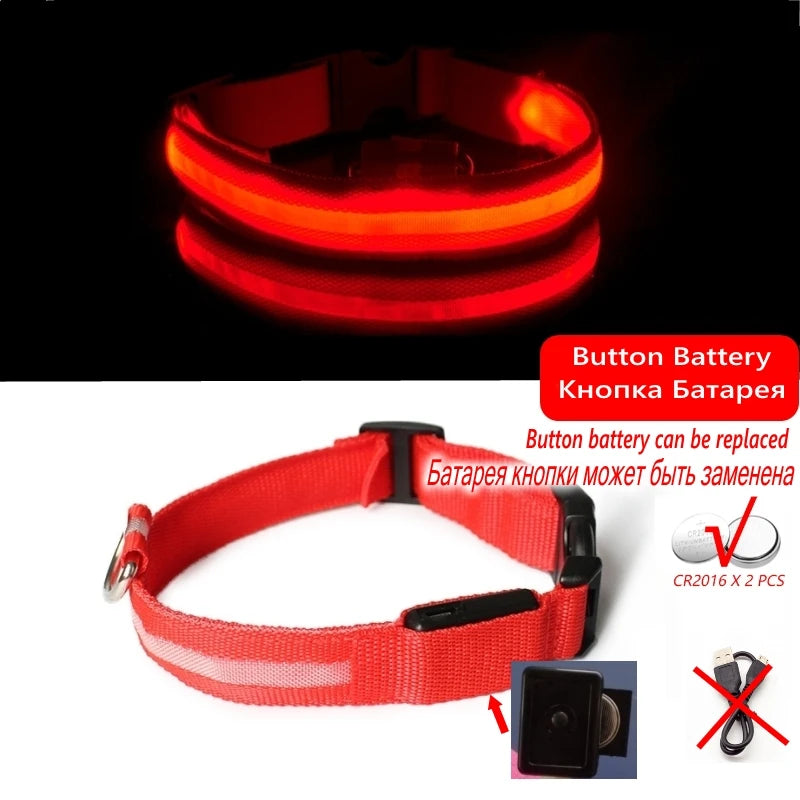 Led Dog Collar USB Charging/Battery